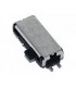 NDS Lite Boton Volumen