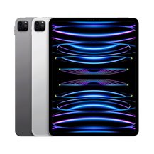 iPad Pro 12,9 6ª G 2022 (A2436, A2437, A2764, A2766)
