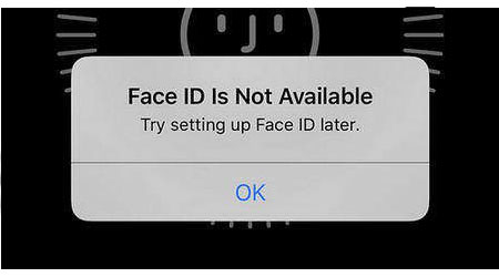 Reparación desbloqueo facial Face ID iPhone 14 Plus